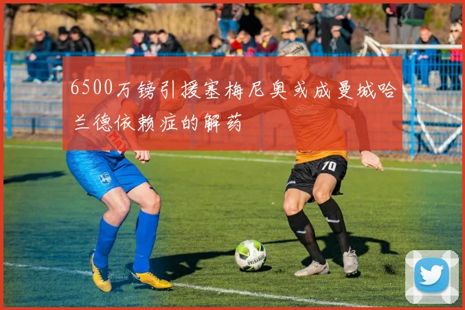 6500万镑引援塞梅尼奥或成曼城哈兰德依赖症的解药