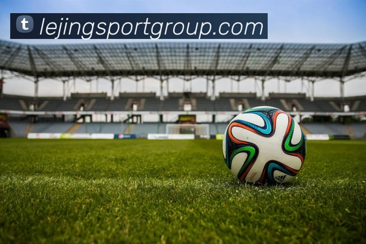 App Interface Preview